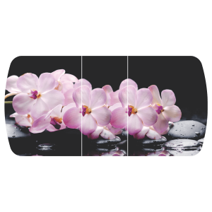 Стол раздвижной Бостон - 3 фотопечать Розовая орхидея  с цельной вставкой