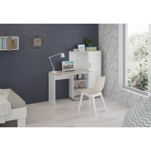 Стол письменный со шкафом Паскаль