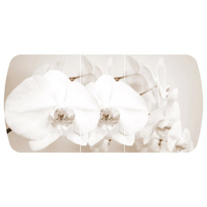 Стол раздвижной Бостон - 3 фотопечать Лунная орхидея с цельной вставкой