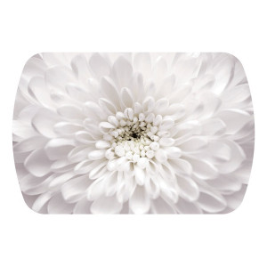 Стол обеденный Бостон Флоренс опора триумф