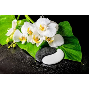 Стол обеденный 600 со стеклом Лотос (Инь-Янь)